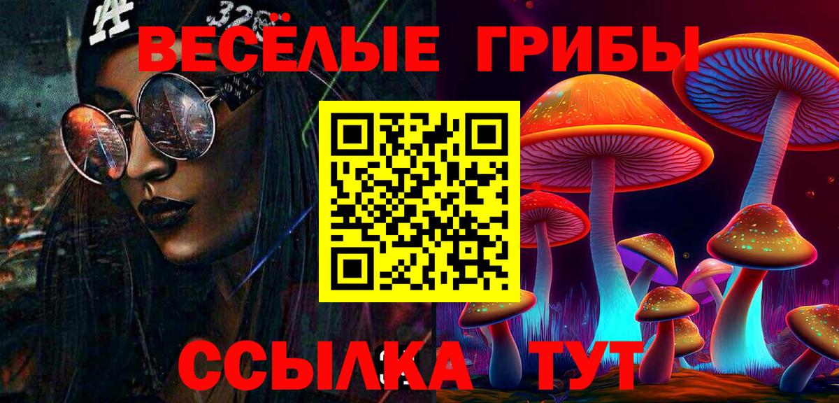 Куйбышев  Галлюциногенные грибы Magic Shrooms  Вход с VPN 