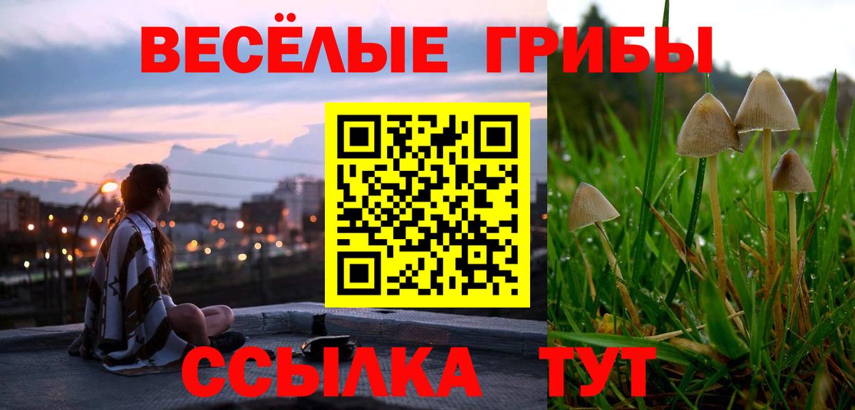 Псилоцибиновые грибы GOLDEN TEACHER Куйбышев